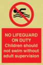 no-lifeguard-on-dutychildren-should-not-swim-without-adult-supervision~